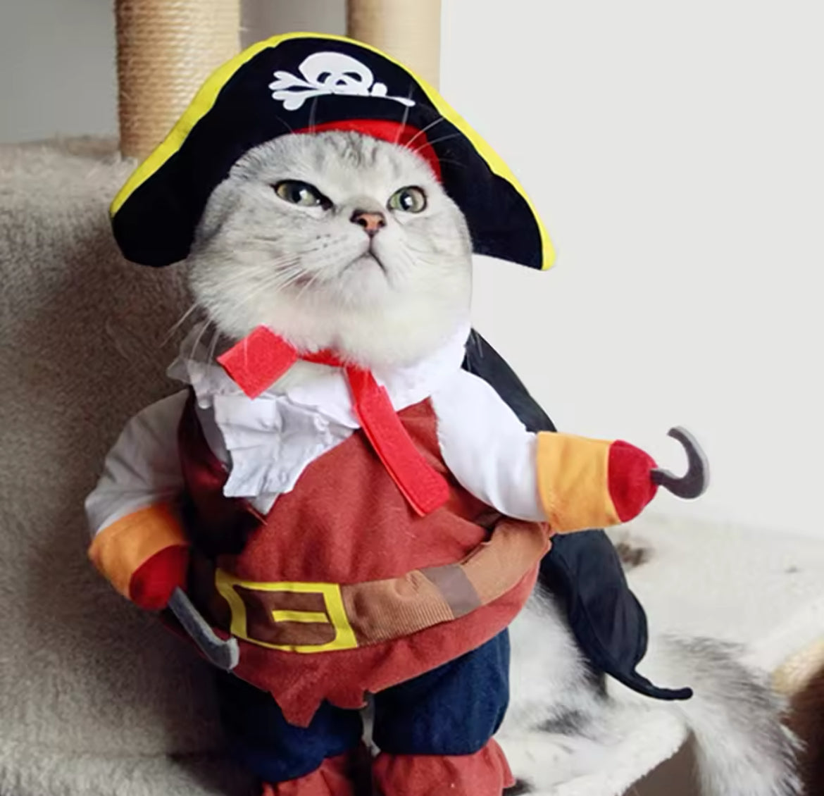 Pirate Dog Costume – Spooky Adventure Outfit for Dogs - Shopthatapp.ca