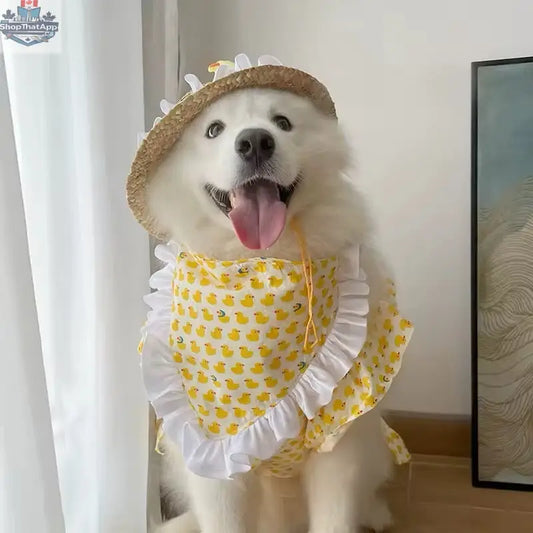 Summertime Happiness Luxury Dog Dress Set with Hat for Large Breeds - Shopthatapp.ca