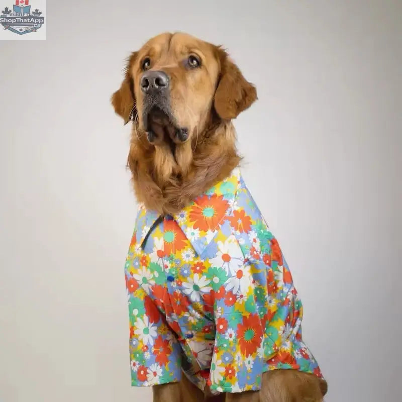 Merle Dog Shirt for Large Dogs - Stylish Spring Shirt for Your Furry Friend - Shopthatapp.ca