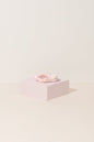 Slim Silk Scrunchie - Shopthatapp.ca