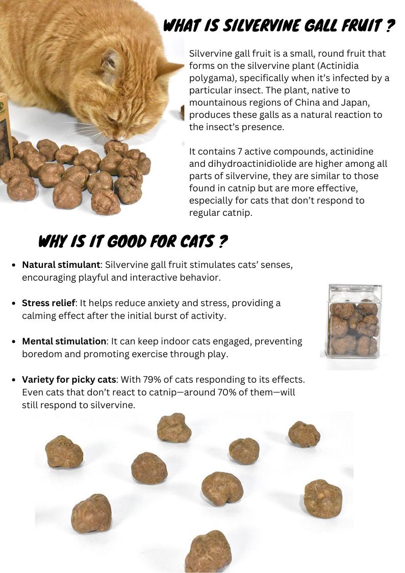 Freeze-Dried Silvervine Fruits 20g - Natural Cat Enrichment Snack - Shopthatapp.ca