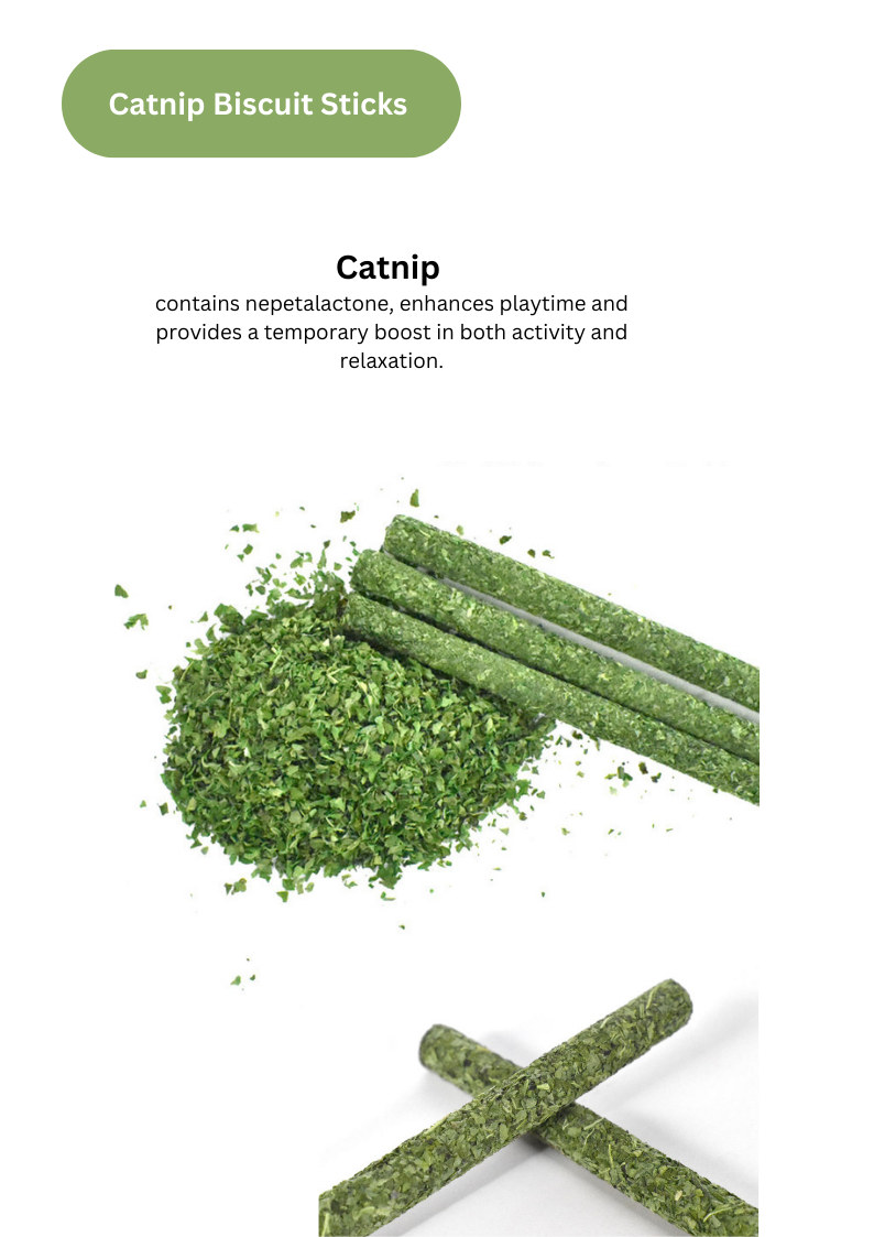 Silvervine Catnip Biscuit Sticks - 8pcs of Natural Feline Treats - Shopthatapp.ca
