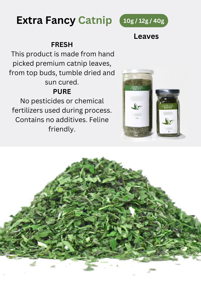 CATWANT Catnip - Premium Catnip for Cats for Ultimate Play and Relaxation - Shopthatapp.ca