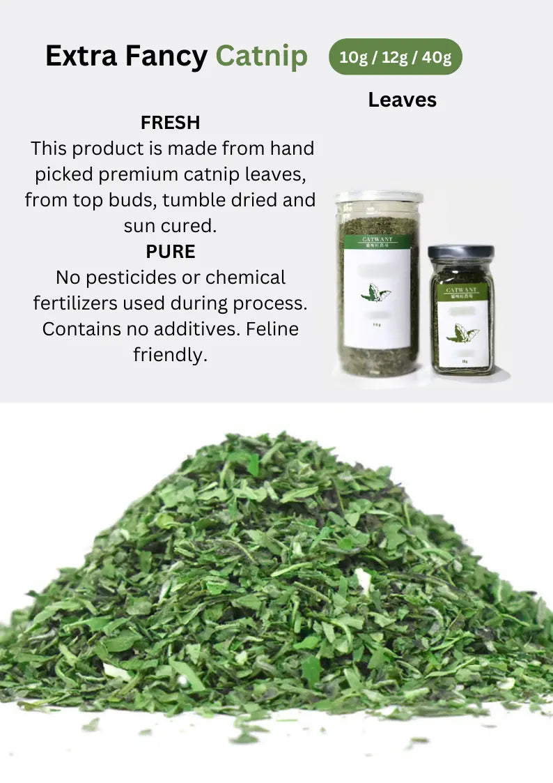 CATWANT premium catnip for cats, shown in a pile, ideal for play and relaxation, with fresh green leaves and aromatic scent