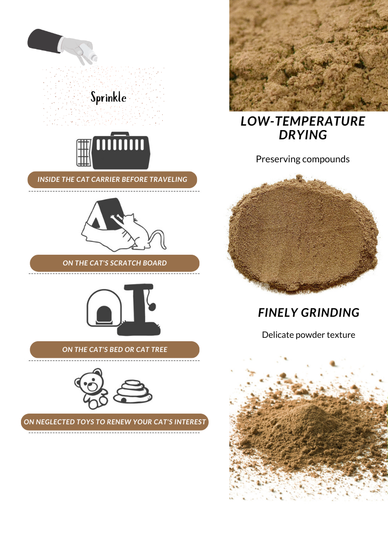 Silvervine Gall Fruit Powder - Shopthatapp.ca