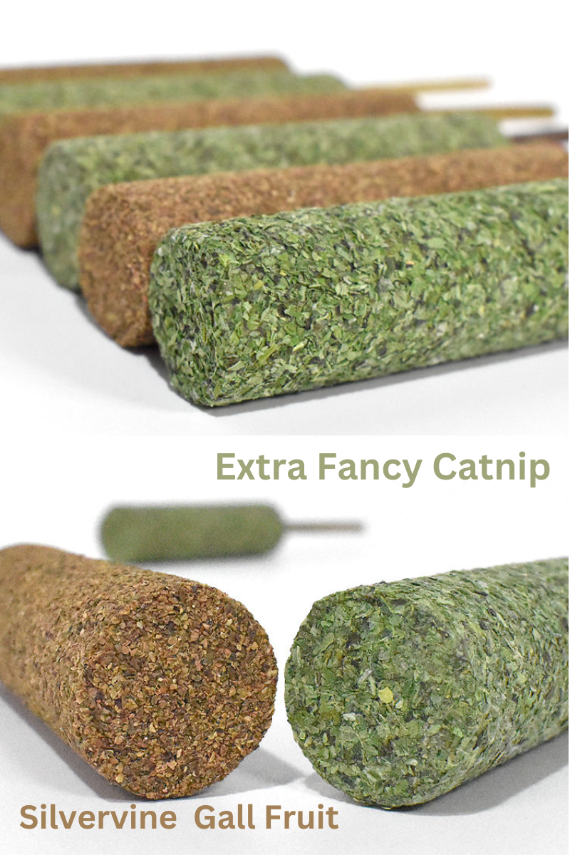 Silvervine Gall Fruit Popsicle - Shopthatapp.ca