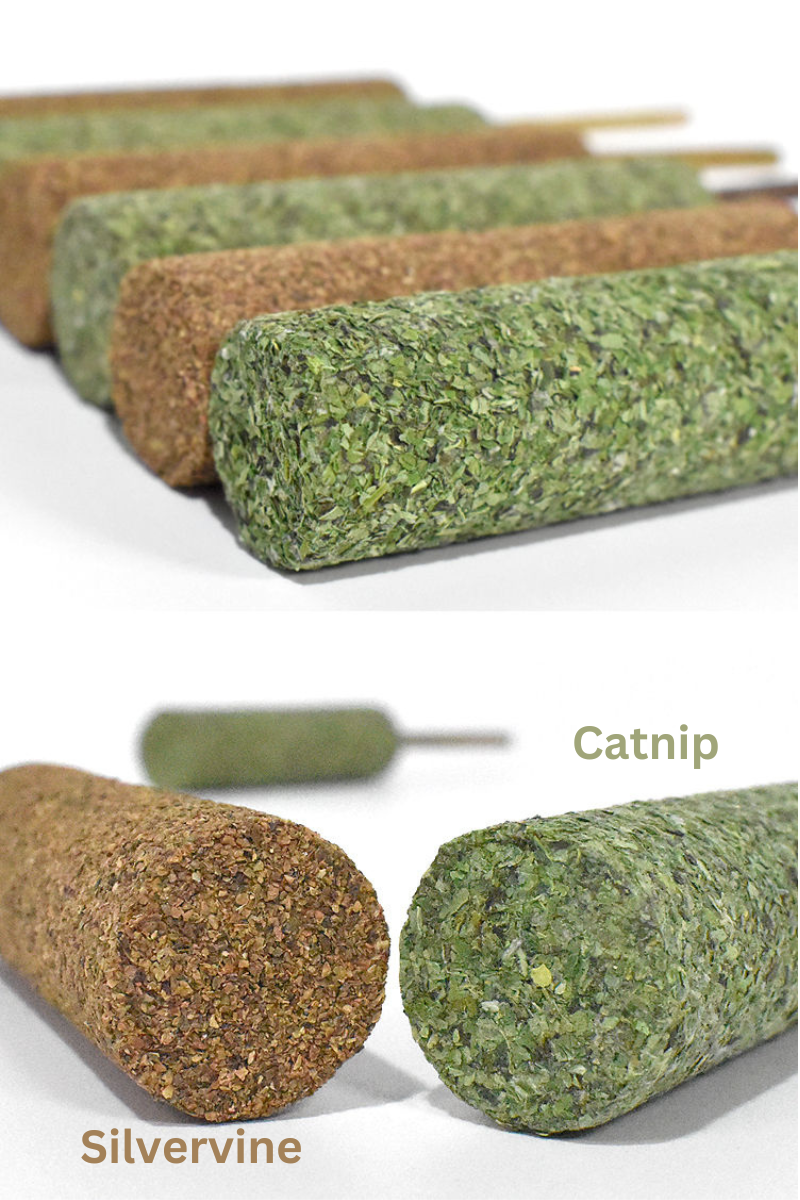 Extra Fancy Catnip Popsicle - Shopthatapp.ca