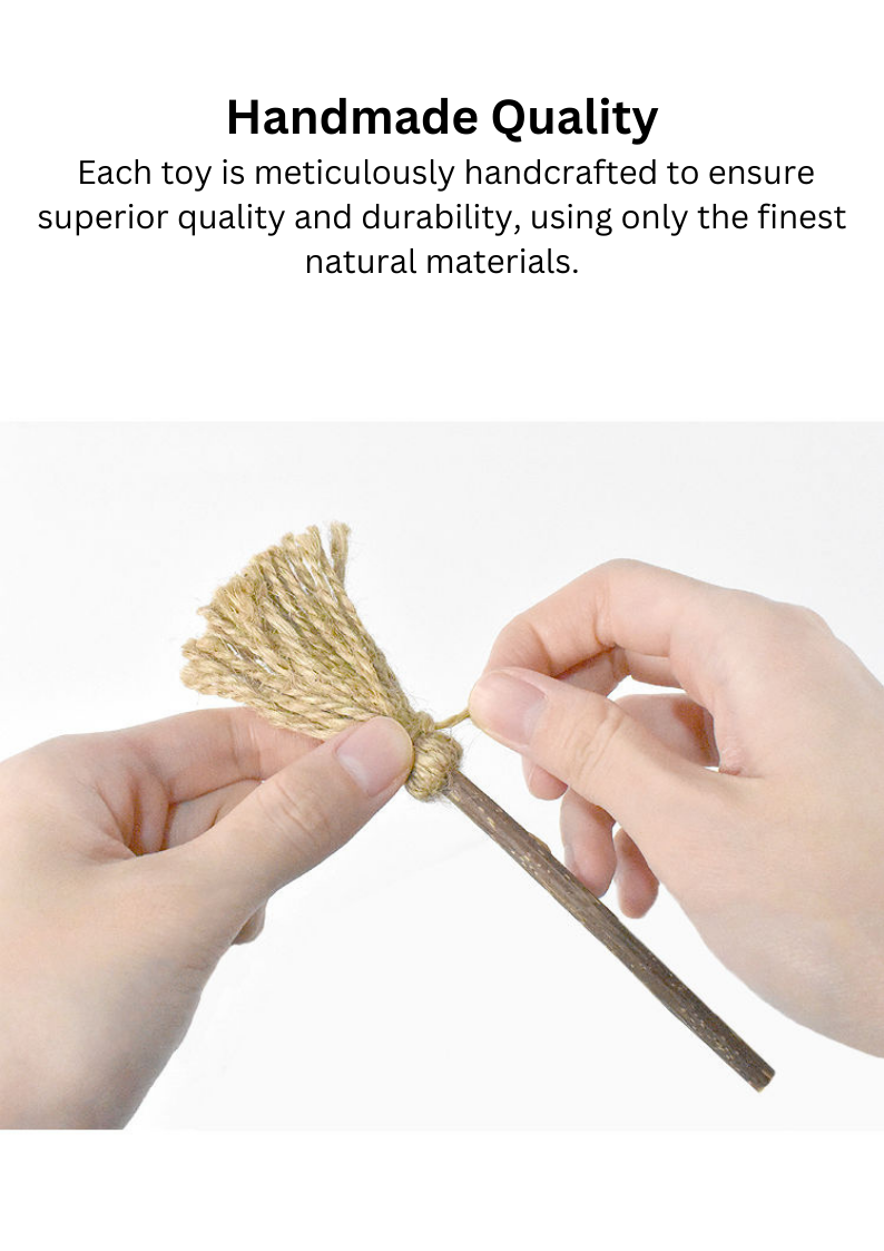 Silvervine Magic Broom - Shopthatapp.ca
