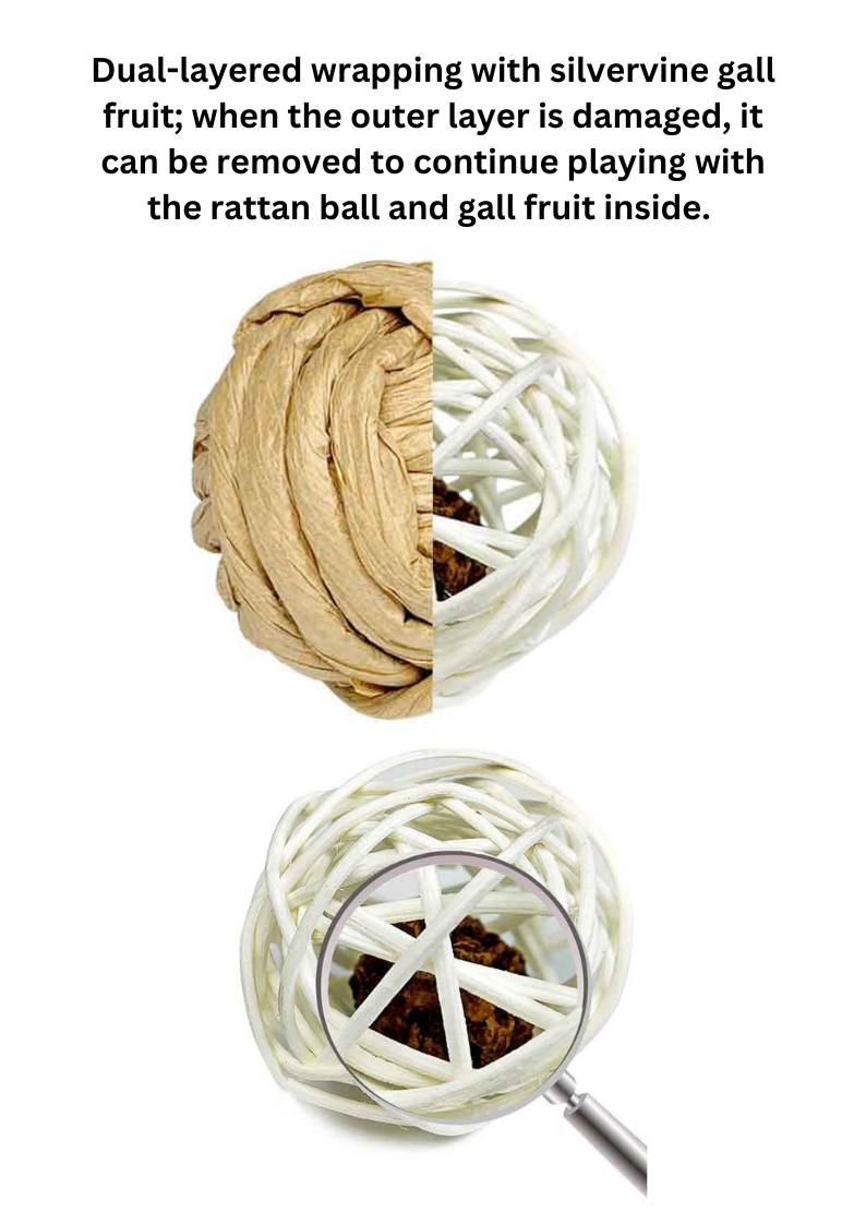 Woven Silvervine Fruit Ball for Playful Cats to Enhance Happiness - Shopthatapp.ca