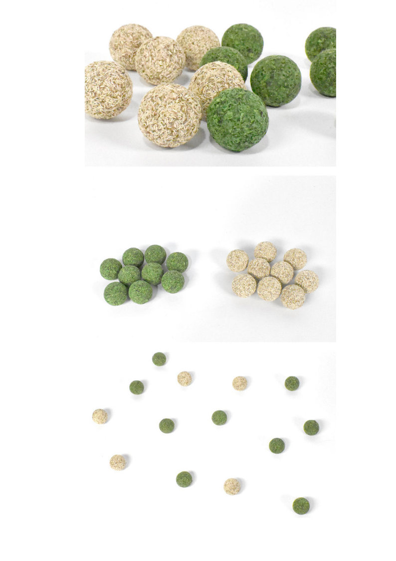 Catnip Teeth Cleaning Beans 5pcs with Silvervine for Healthy Dental Care - Shopthatapp.ca