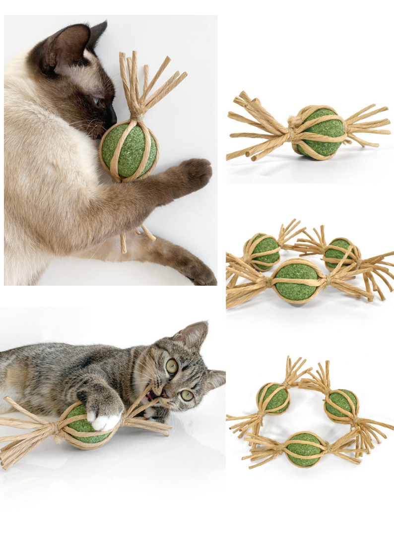 Woven Silvervine Candy with Catnip Ball - Irresistible Treat for Cats - Shopthatapp.ca