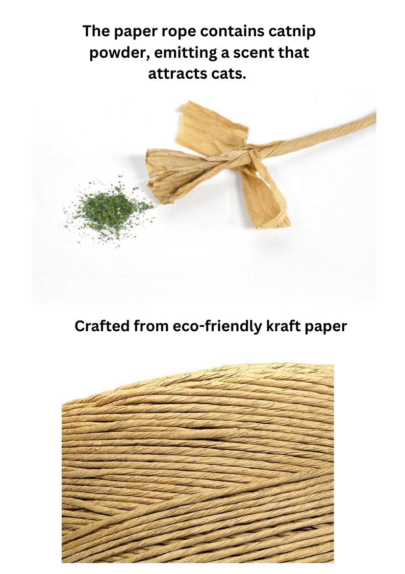 Woven Catnip Toy - Fun Pineapple Design for Playful Cats - Shopthatapp.ca