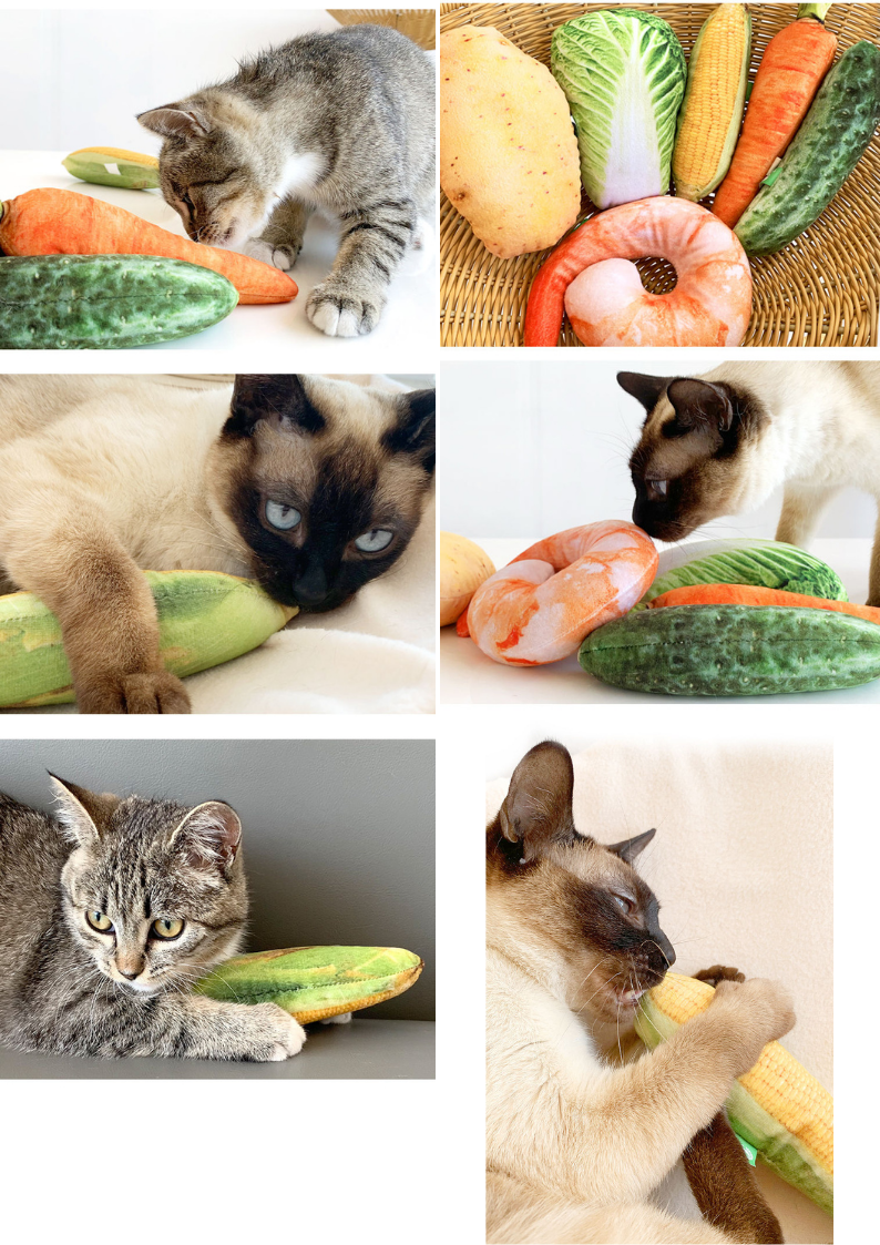 100% Silvervine Catnip Cuddle Toy - Grocery Shaped Plush for Cats - Shopthatapp.ca