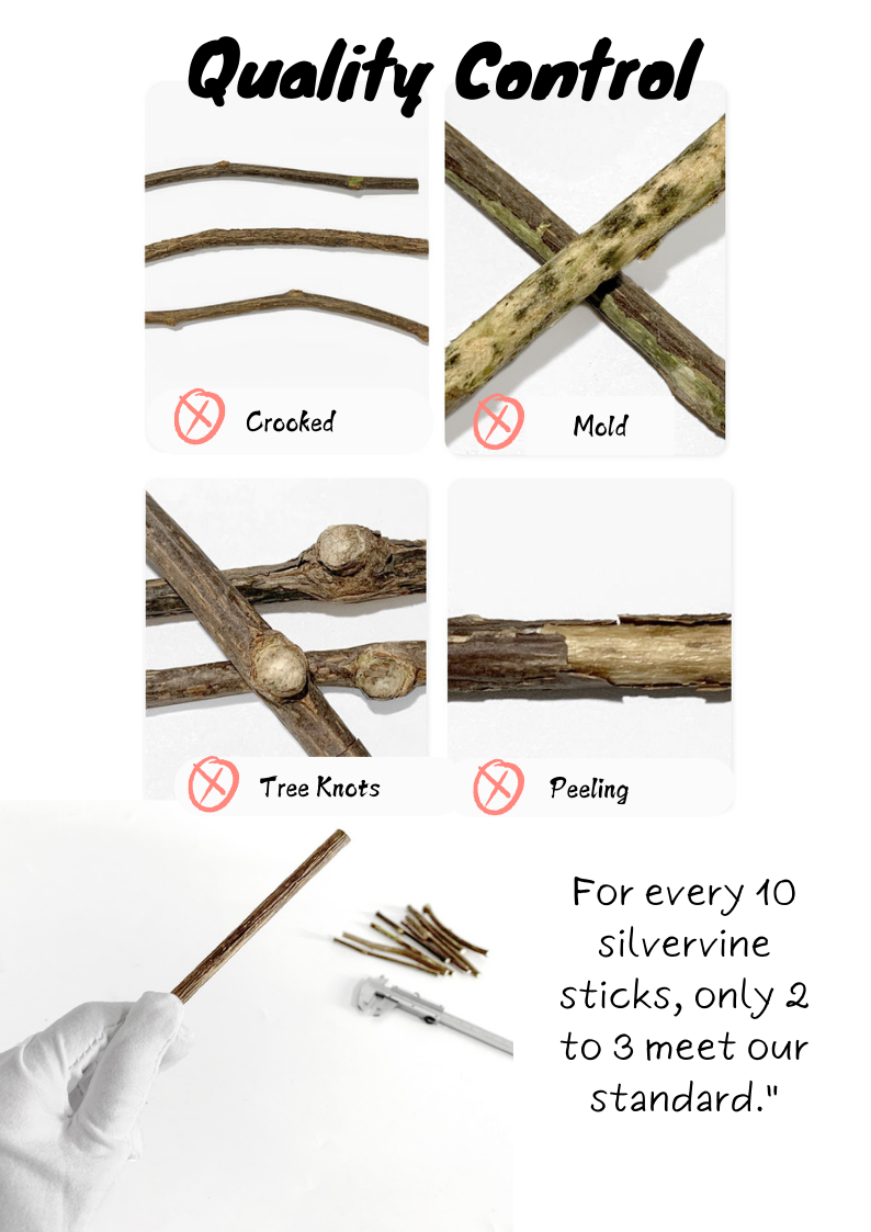 Silvervine Sticks for Cats - Natural Cat Teaser and Chew Toys - Shopthatapp.ca