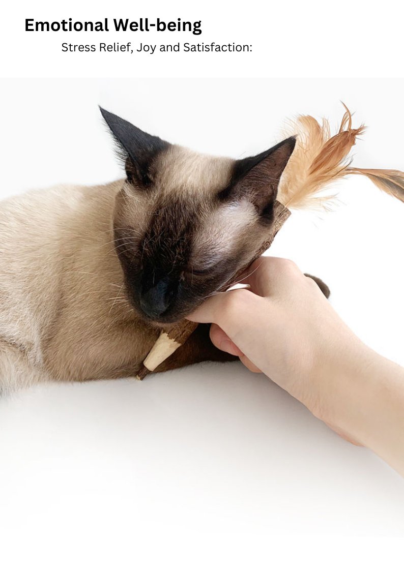 Silvervine Feather Pen - Shopthatapp.ca