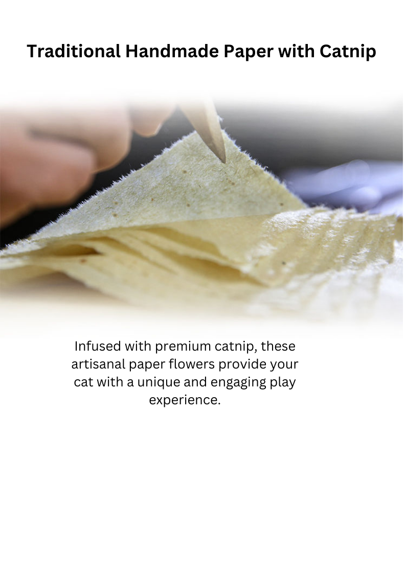Silvervine Birthday Cake Catnip Flower Toy for Feline Festivities - Shopthatapp.ca