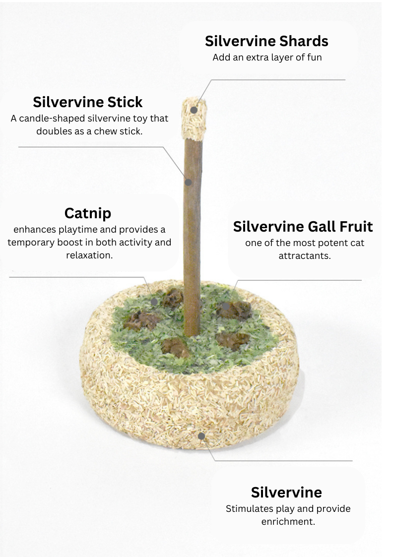Silvervine Birthday Cake - Shopthatapp.ca