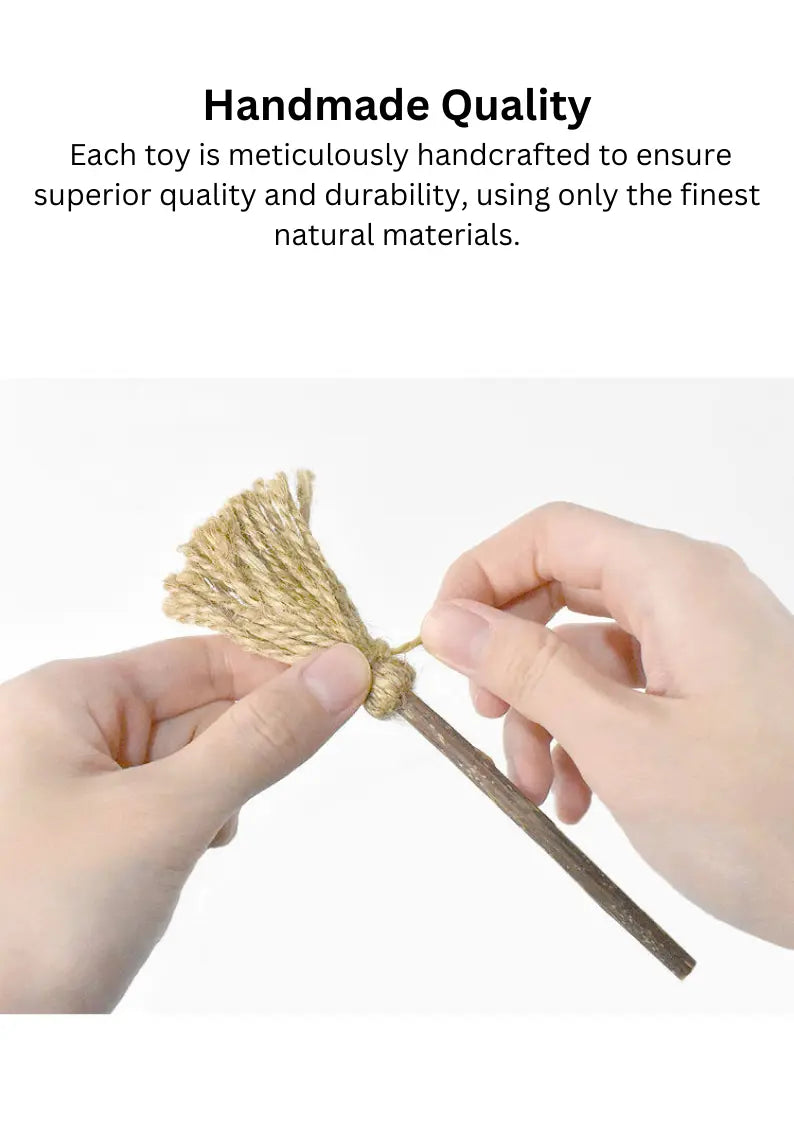 Silvervine Magic Wand for cats, a natural fresh toy from CATWANT with a playful design for enhanced playtime and relaxation.