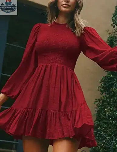 ADEWEL women's long sleeve mock neck ruffle mini dress with stylish ruffles and a fitted silhouette, perfect for fashionable occasions.