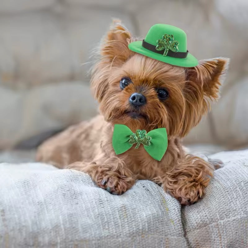 Saint Patrick's Day Dog Accessory Set – Luxury Festive Bundle for Pets - Shopthatapp.ca
