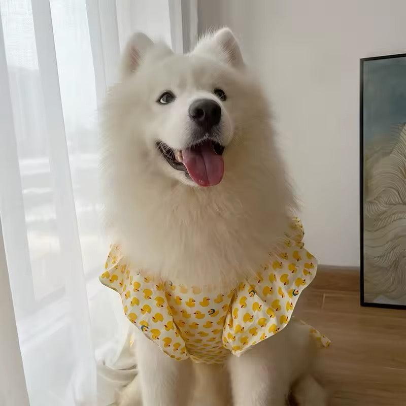 Summertime Happiness Luxury Dog Dress Set with Hat for Large Breeds - Shopthatapp.ca