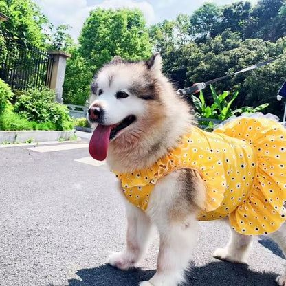 Daisy Spring Dress - Floral Dog Dress Large Breeds for Stylish Pets - Shopthatapp.ca