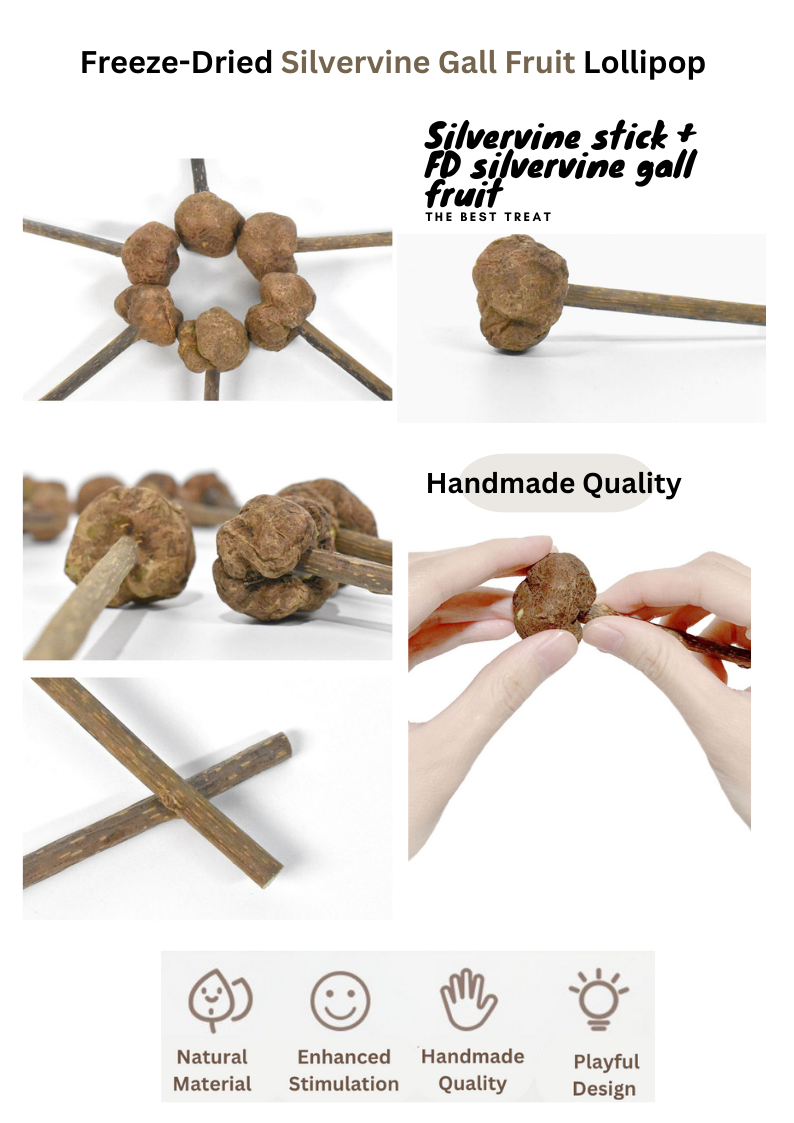 Freeze Dried Silvervine Toys for Cats - Natural Relaxation and Play - Shopthatapp.ca