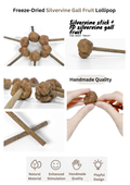 Freeze Dried Silvervine Toys for Cats - Natural Relaxation and Play - Shopthatapp.ca