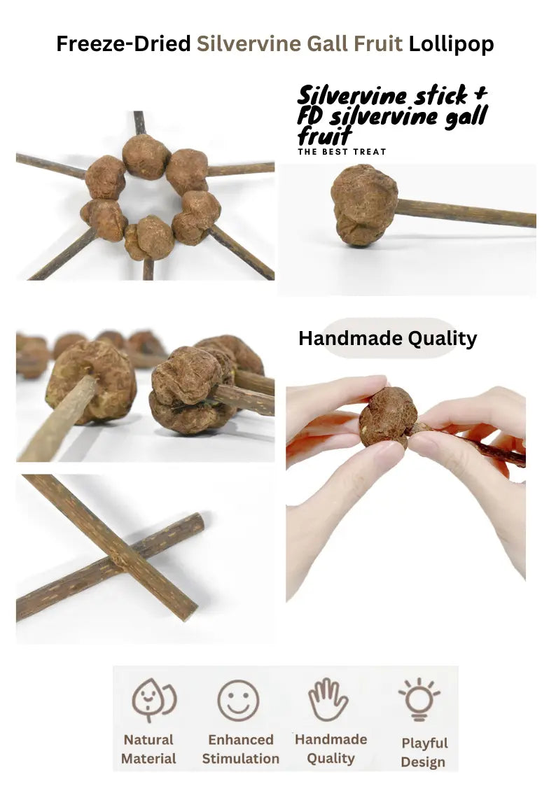 Freeze dried silvervine gall fruit toys for cats by CATWANT, natural relaxation and play with colorful, textured silvervine toys.