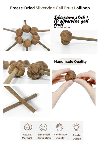 Freeze dried silvervine gall fruit toys for cats by CATWANT, natural relaxation and play with colorful, textured silvervine toys.