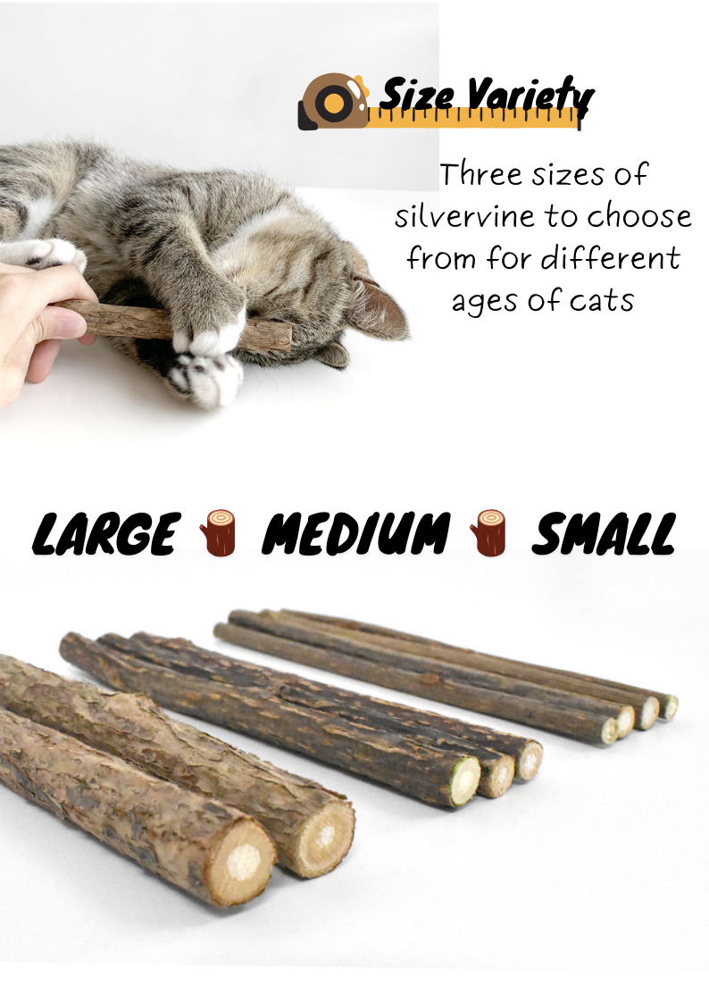 Silvervine Sticks for Cats - Natural Cat Teaser and Chew Toys - Shopthatapp.ca