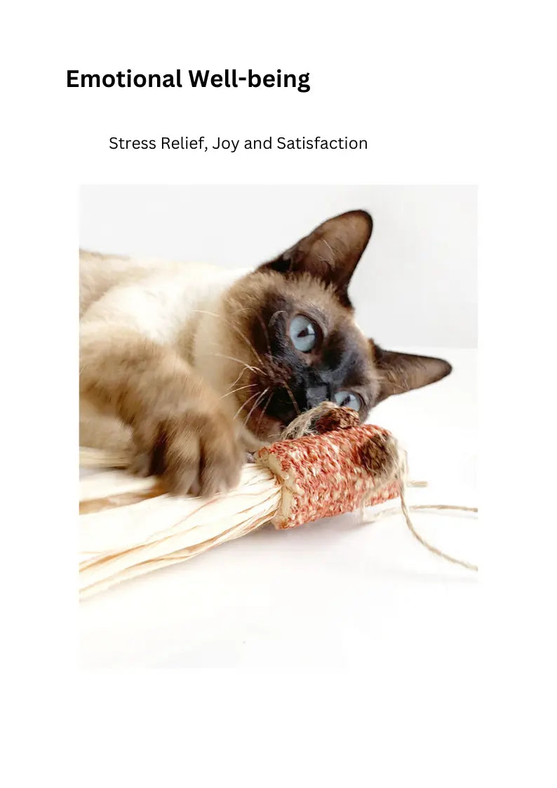 Silvervine Corn Goldfish natural cat toy by CATWANT, featuring a realistic goldfish shape with silvervine for feline play stimulation.