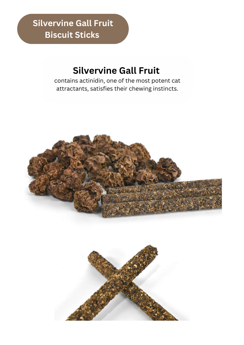 Silvervine Catnip Biscuit Sticks - 8pcs of Natural Feline Treats - Shopthatapp.ca