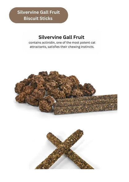 Silvervine catnip biscuit sticks by CATWANT, natural feline treats shown in a close-up image.