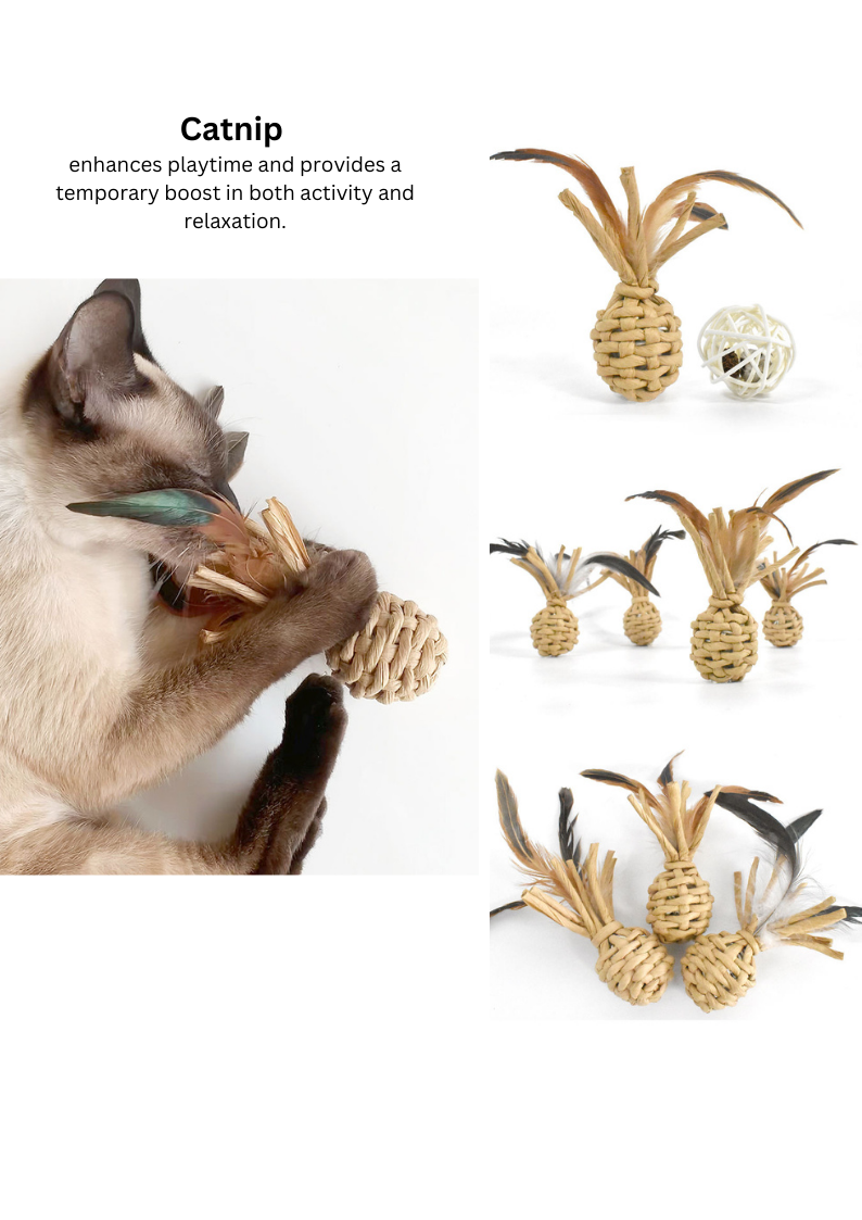 Woven Catnip Toy - Fun Pineapple Design for Playful Cats - Shopthatapp.ca