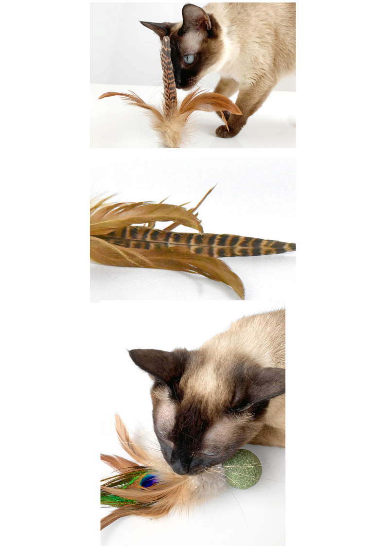 Silvervine Catnip Birdie for Engaging Playtime and Excitement - Shopthatapp.ca