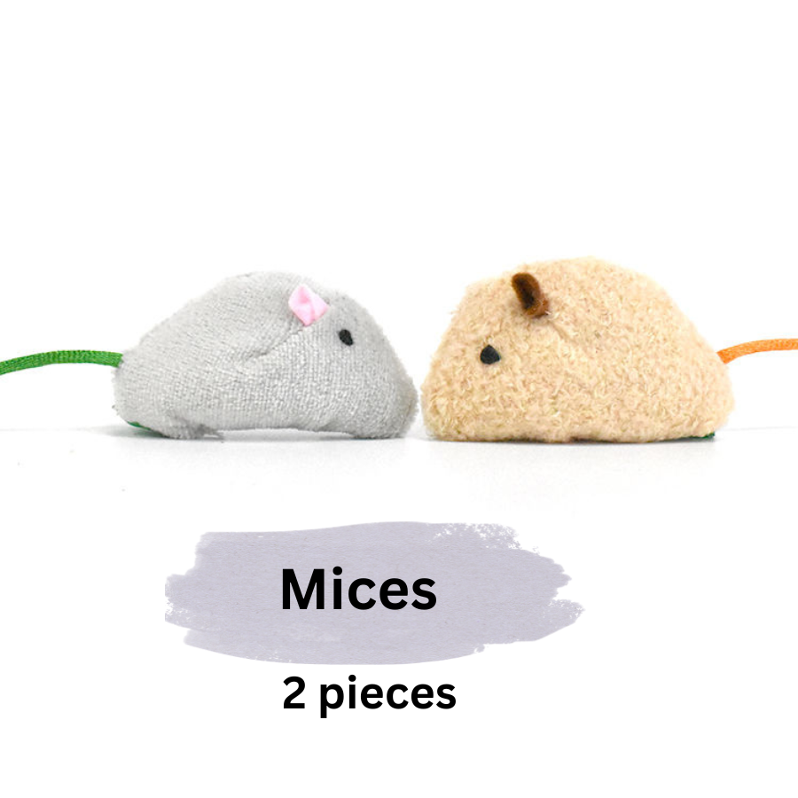 Catnip Silvervine Pet Toys for Small Pets - Happy Playtime Guaranteed - Shopthatapp.ca