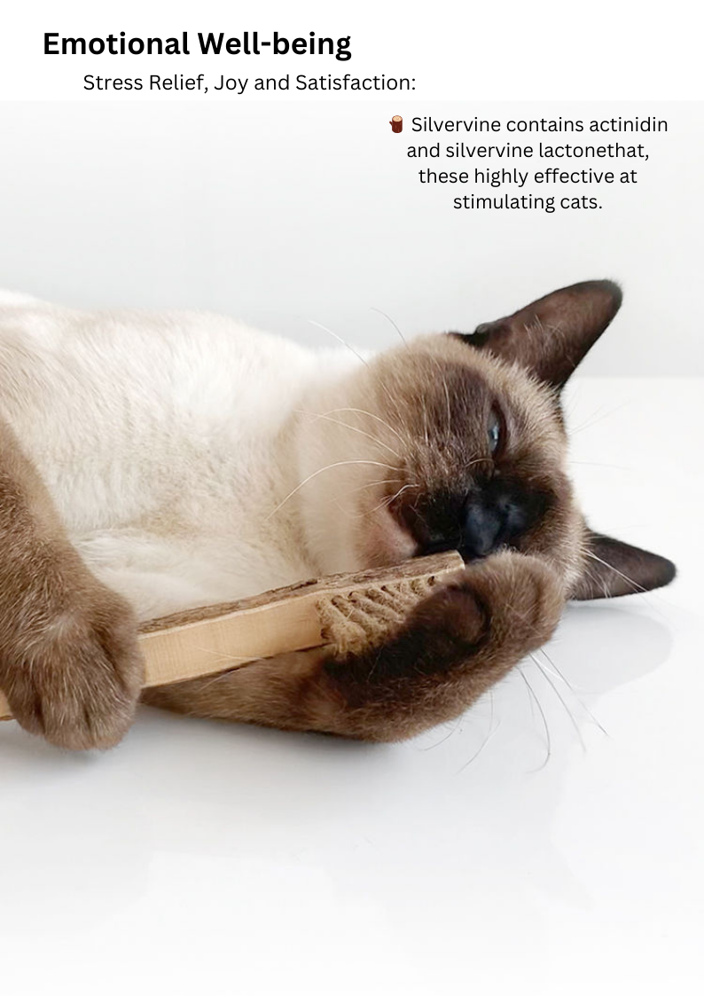Silvervine Toothbrush - Shopthatapp.ca