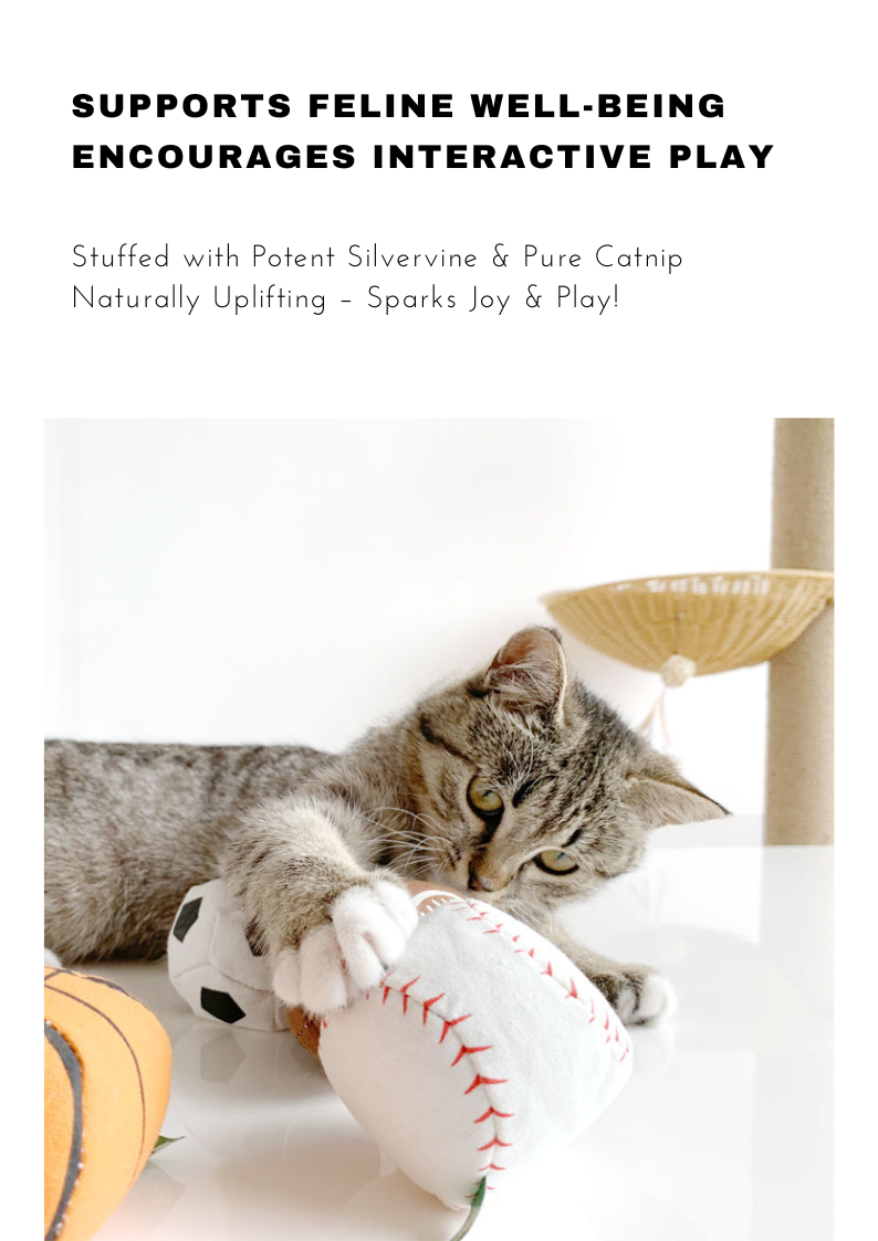 100% Silvervine Catnip Sport Balls Set - 4-Pack for Fun Feline Playtime - Shopthatapp.ca