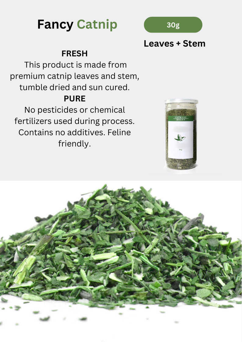 CATWANT Catnip - Premium Catnip for Cats for Ultimate Play and Relaxation - Shopthatapp.ca