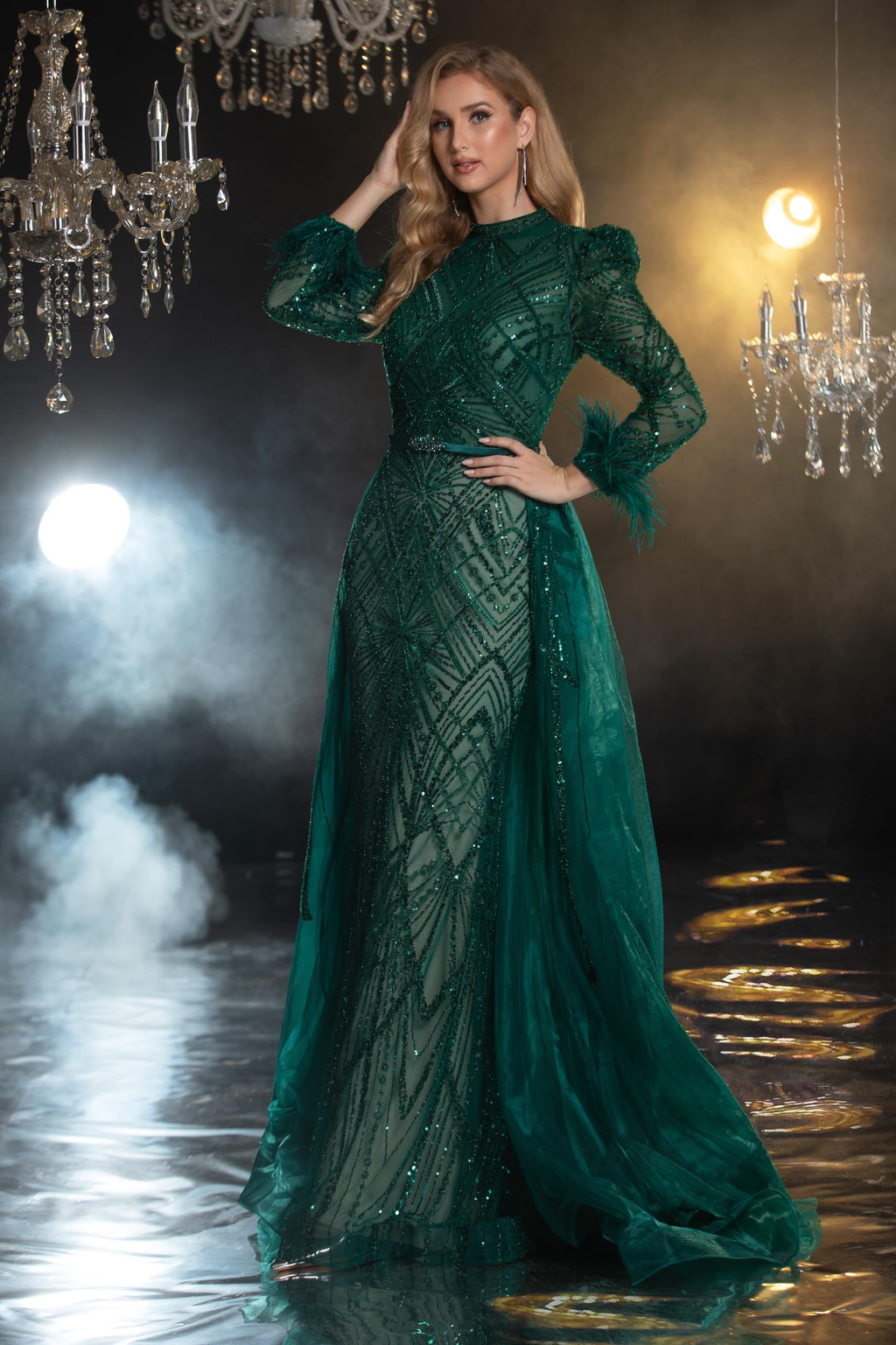 Embellished Long sleeves Evening Gown - Www.Shopthatapp.ca