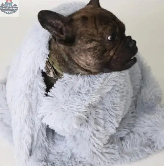 Cozy Pet Blanket — Ultra-Soft Washable Blanket for Dogs & Cats - Shopthatapp.ca