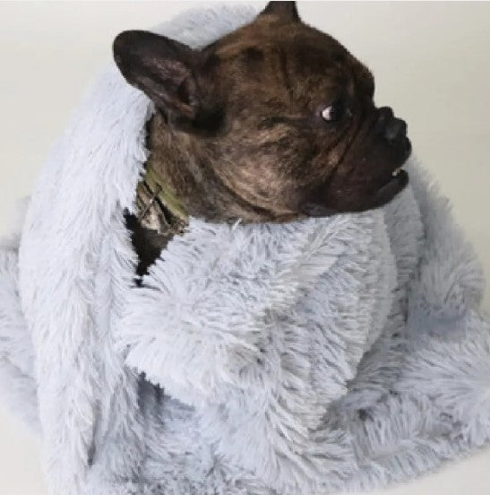 Cozy Pet Blanket — Ultra-Soft Washable Blanket for Dogs & Cats
