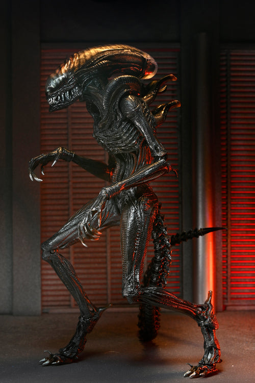 Alien: Romulus - 7" Scale Action Figure - Ultimate Scorched Xenomorph - Www.Shopthatapp.ca