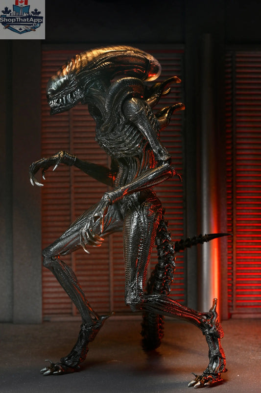 Toy Snowman Alien Romulus Scorched Xenomorph 7-inch collector's action figure from the Ultimate Edition series.