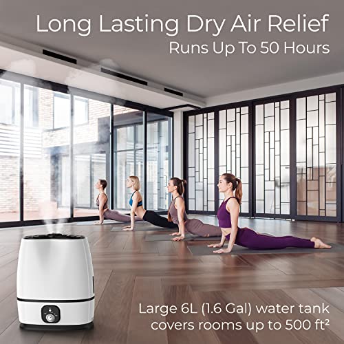 50-Hour Ultrasonic Humidifier for Long-Lasting Cool Mist Hydration - Shopthatapp.ca