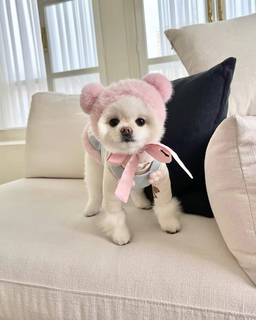 Baby Blue Easter Bunny Outfit – Easter Dog Hat Set