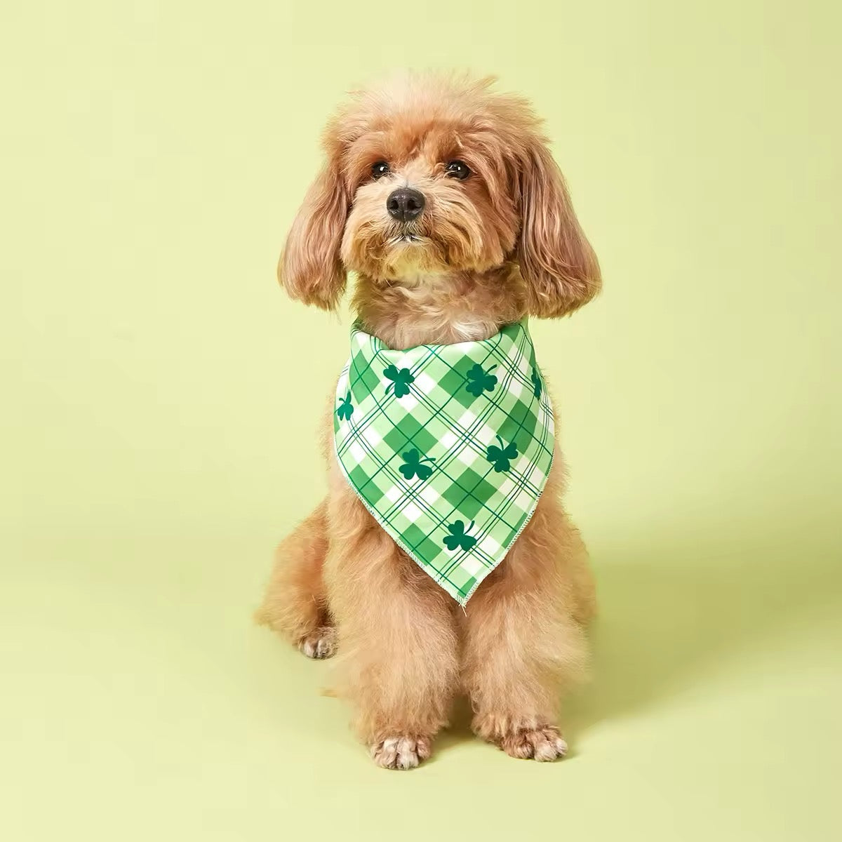 Saint Patrick’s Day Dog Bandana – Festive Holiday Pet Accessory - Shopthatapp.ca