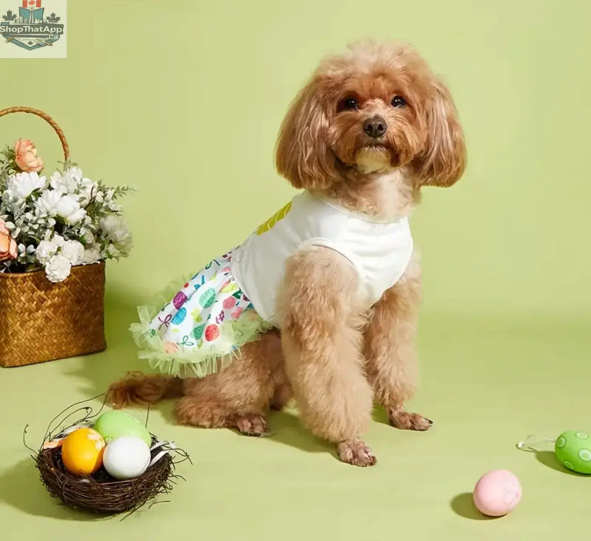 Easter Egg Dog Dress - Festive Luxury Outfit for Your Furry Friend - Shopthatapp.ca