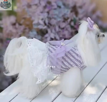 Lavender Dream Dress – Luxury Dog Dress - Shopthatapp.ca